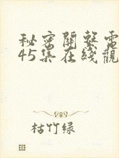 秘密关系电视剧45集在线观看免费