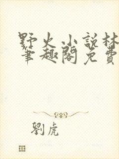 野火小说林晚晚笔趣阁免费阅读