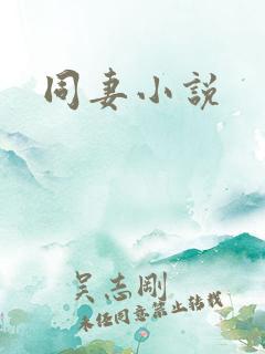 同妻小说