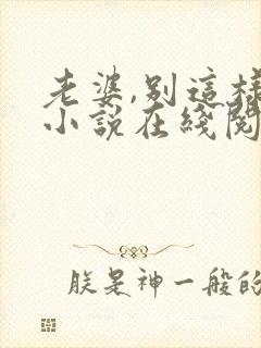 老婆,别这样 小说在线阅读