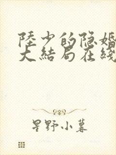 陆少的隐婚罪妻大结局在线阅读