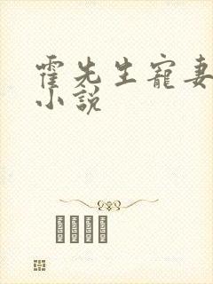 霍先生宠妻无度小说