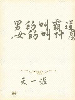男的叫霸道总裁,女的叫什么
