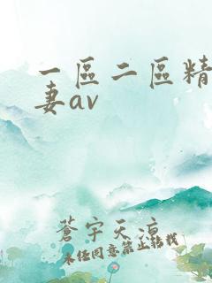 一区二区精品人妻av