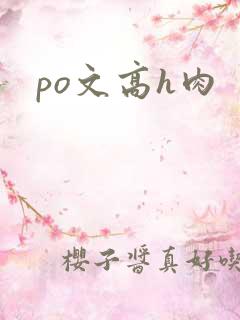 po文高h肉
