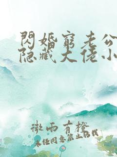 闪婚穷老公竟是隐藏大佬小说在线观看