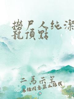 捞尸人纯洁滴小龙顶点