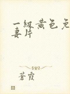 一级黄色免费夫妻片