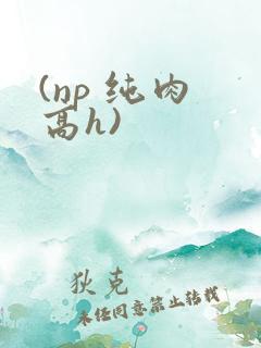 (np 纯肉 高h)
