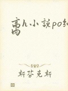 高h小说po纯肉