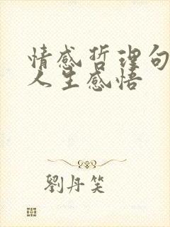 情感哲理句子 人生感悟
