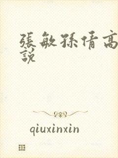 张敏孙倩高义小说
