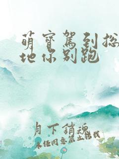 萌宝驾到总裁爹地你别跑