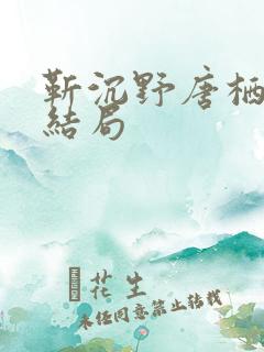 靳沉野唐栖雾大结局