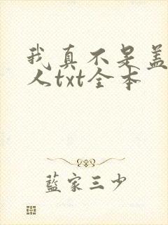 我真不是盖世高人txt全本