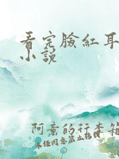 看完脸红耳赤的小说