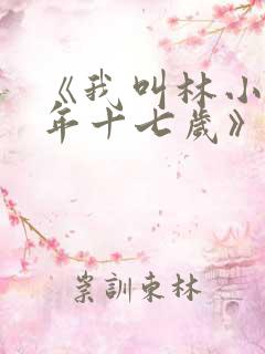《我叫林小喜今年十七岁》