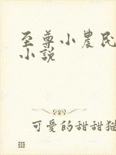 至尊小农民原著小说