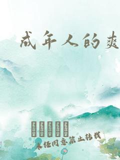 成年人的爽片