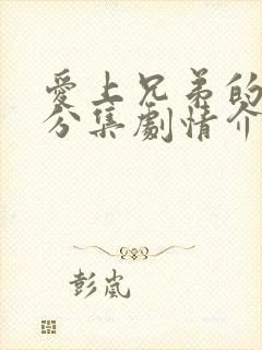 爱上兄弟的妈妈分集剧情介绍