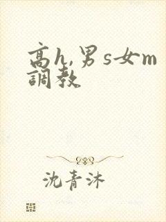 高h,男s女m调教