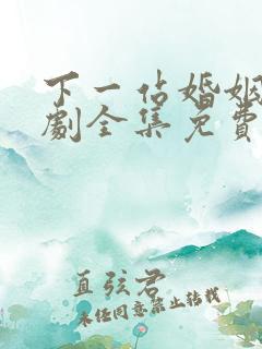 下一站婚姻电视剧全集免费观看高清
