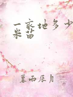 一亩地多少棵玉米苗