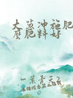 大葱冲施肥用什么肥料好