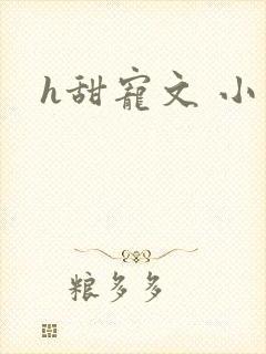 h甜宠文 小说