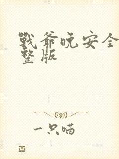 战爷晚安全集完整版