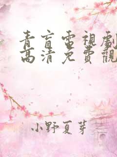 青盲电视剧全集高清免费观看