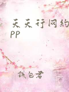 天天行网约车app