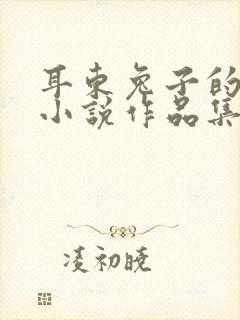 耳东兔子的全部小说作品集