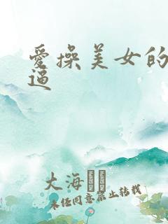 爱操美女的小逼逼