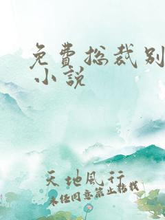 免费总裁别太坏 小说
