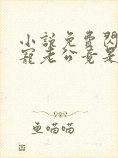 小说免费闪婚成宠老公竟是千亿大佬