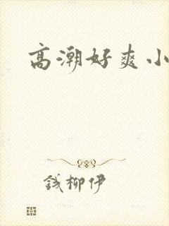 高潮好爽小说