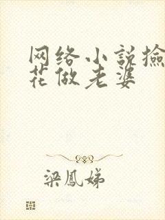 网络小说捡个校花做老婆