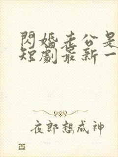 闪婚老公是总裁短剧最新一集