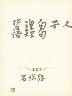 哲理句子人生感悟短句