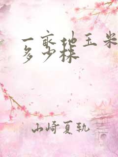 一亩地玉米大概多少株
