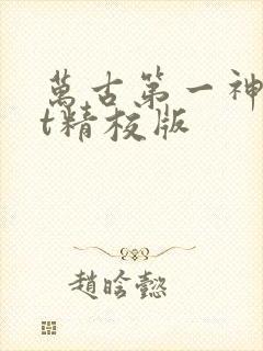 万古第一神txt精校版