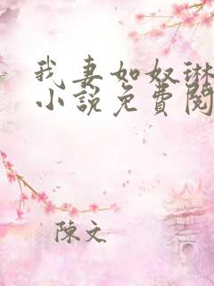 我妻如奴琳原文小说免费阅读