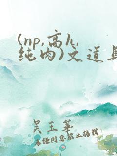 (np,高h,纯肉)文道具