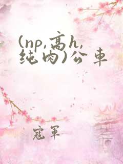 (np,高h,纯肉)公车