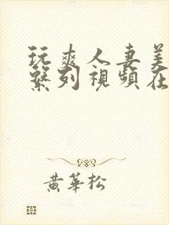 玩爽人妻美少妇系列视频在线播放