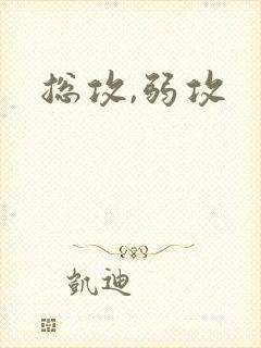 总攻,弱攻