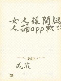 女人张开腿让男人捅app软件