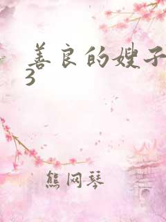 善良的嫂子韩剧3