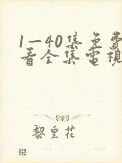 1—40集免费看全集电视剧